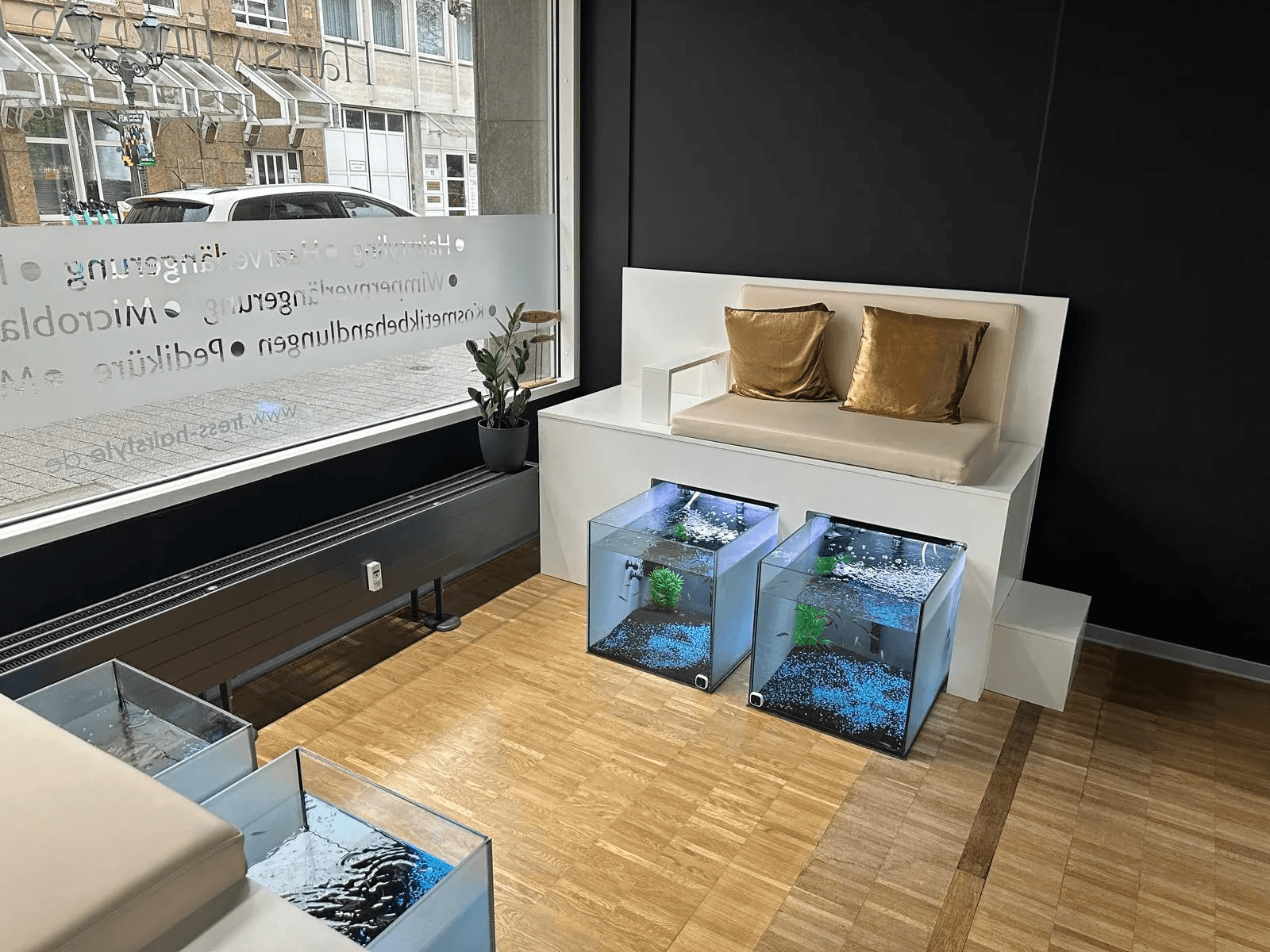 Sitzbereich des Fish Spa mit vier Aquarien, heller Sitzbank und goldenen Samtkissen