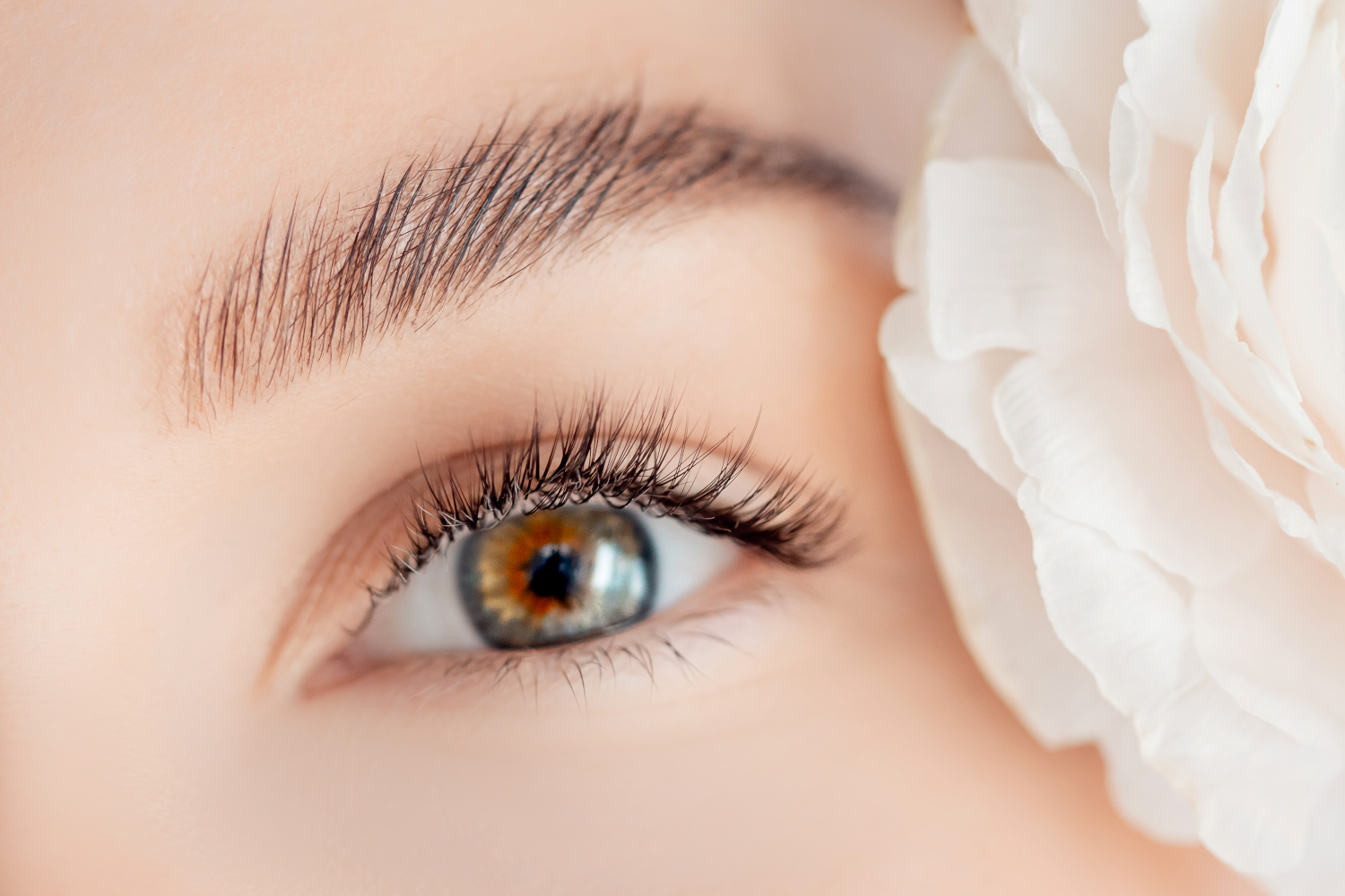 Wimpernverlängerungsverfahren Microblading für Frauen mit grünen Augen